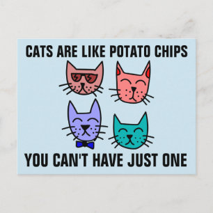 CARTÃO POSTAL GATOS SÃO COMO BATATAS FRITAS, VOCÊ NÃO PODE TER A