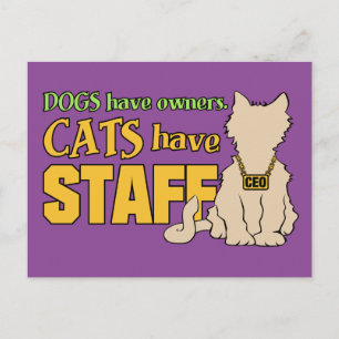 Cartão Postal GATOS TÊM FUNCIONARIOS postal