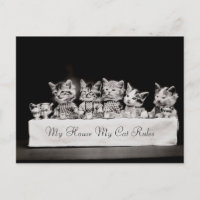 Gatos Vintage Tea Vestidos