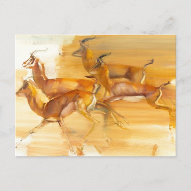 Cartão Postal Gazelas Running 2010 (Frente)