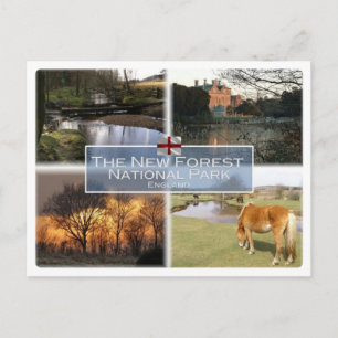 Cartão Postal GB Reino Unido - Inglaterra - New Forest N.P. -
