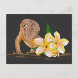 Cartão Postal Gecko Cute Hawaii