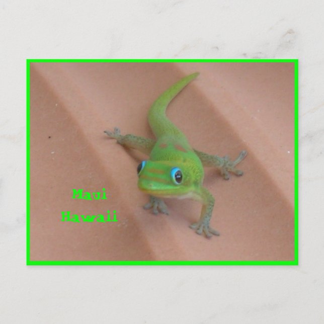 Cartão Postal Gecko do Dia da Pó Dourada (Frente)