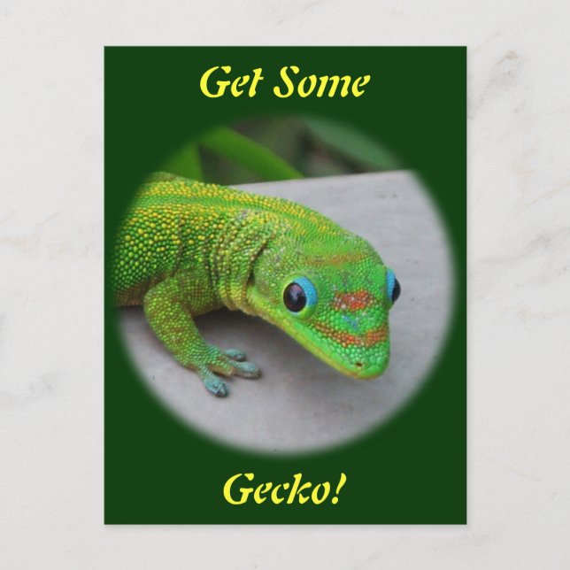 Cartão Postal Gecko do Dia da Pó Dourada - Audiência e Consiga a (Frente)