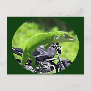 Cartão Postal Gecko Rider Verde Havaiano
