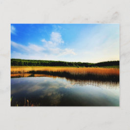 Cartão Postal Gedling Country Park