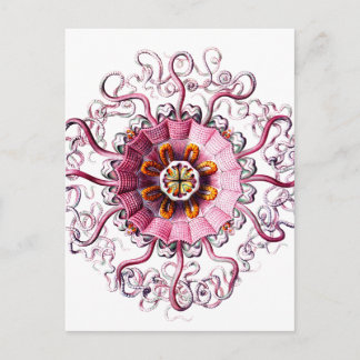 Cartão Postal geleia cor-de-rosa w pontos verdes cópia clara.png