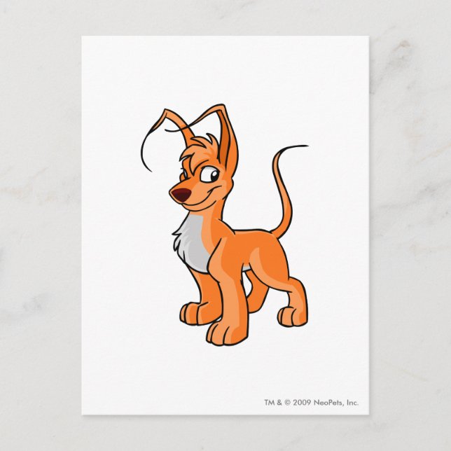 Cartão Postal Gelert Orange (Frente)
