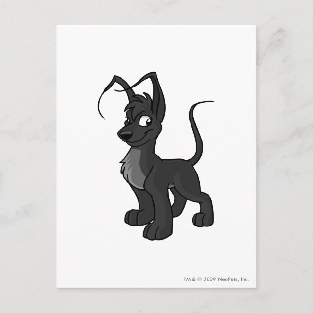 Cartão Postal Gelert Shadow (Frente)