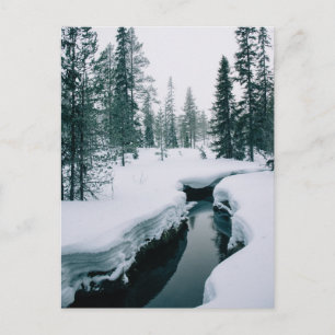 Cartão Postal Gelo e neve   Fluxo numa paisagem de inverno com n