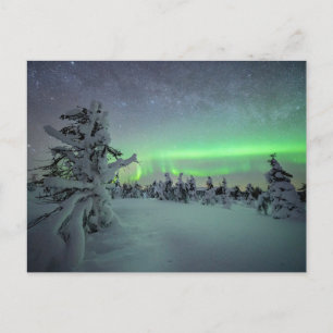 Cartão Postal Gelo e neve Parque Nacional de Pallas-Yllastuntu