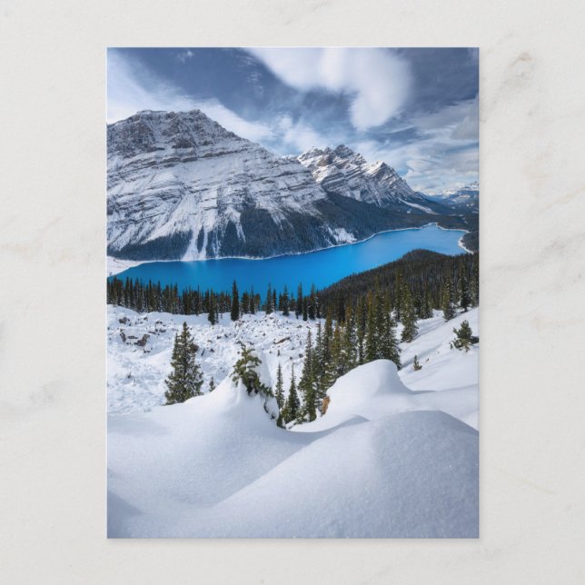 Cartão Postal Gelo e neve | Peyto Lake, Rockies canadianos (Frente)