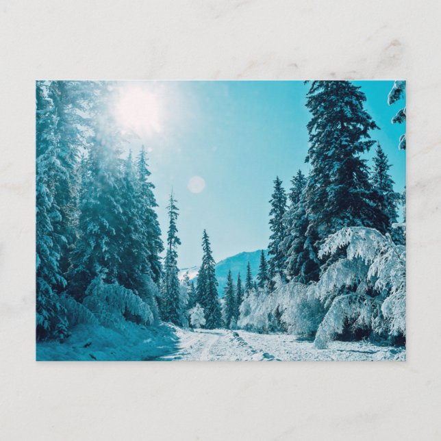 Cartão Postal Gelo e neve | Reserva Natural de Altai, Rússia (Frente)