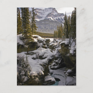 Cartão Postal Gelo & Neve Parque Nacional Jasper Alberta, Cana