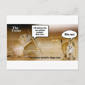 Cartão Postal Gêmeos