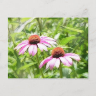 Cartão Postal Gêmeos Coneflower