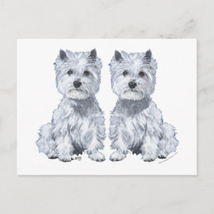Cartão Postal Gêmeos West Highland White Terrier!