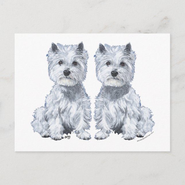 Cartão Postal Gêmeos West Highland White Terrier! (Frente)