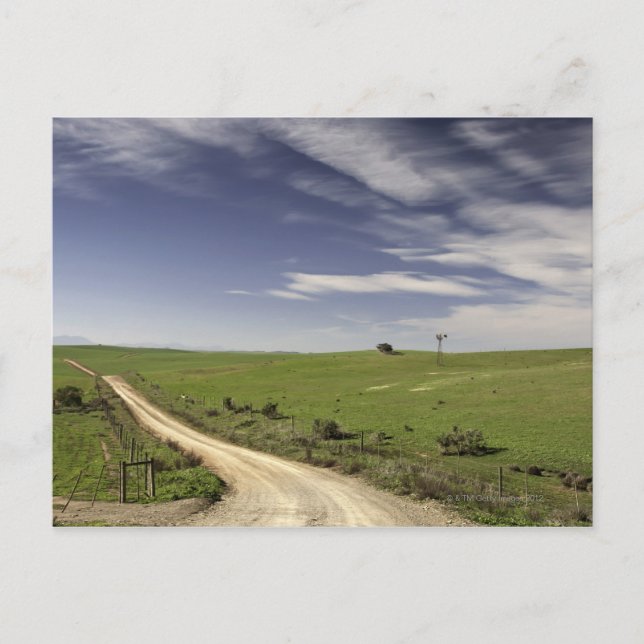 Cartão Postal Geminação de fazendas entre campos de trigo, Caled (Frente)