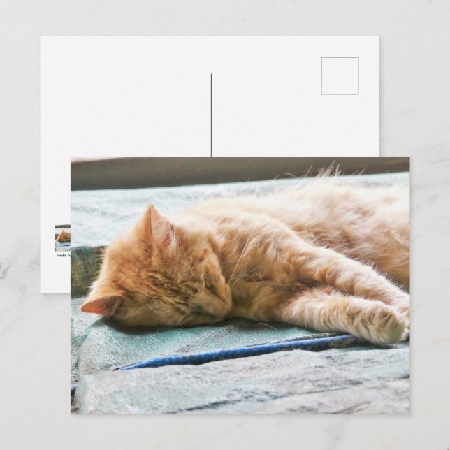 Cartão Postal Gengibre de Cabelo Longo (Frente/Verso)