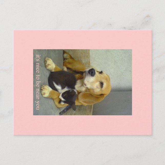 Cartão Postal gentil (Frente)