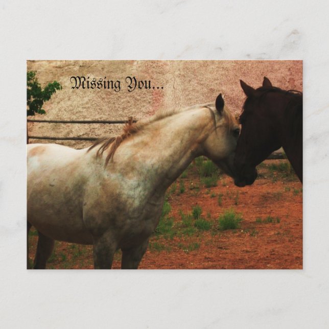 Cartão Postal Gentil Whisper... (Frente)