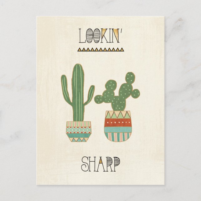 Cartão Postal Geo IX Sudoeste | Busca de Sharp (Frente)