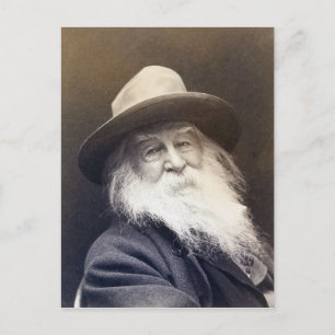 Cartão Postal George C. Cox Walt Whitman