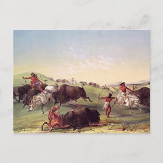 Cartão Postal George Catlin - caça do búfalo