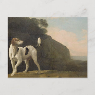 Cartão Postal George Stubbs   A Foxhound, c.1760 (óleo em papel