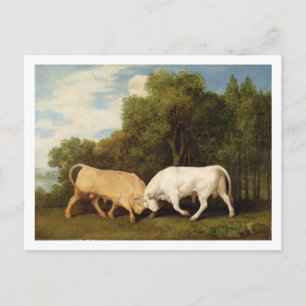 Cartão Postal George Stubbs Combate a touros, 1786 (óleo no pa
