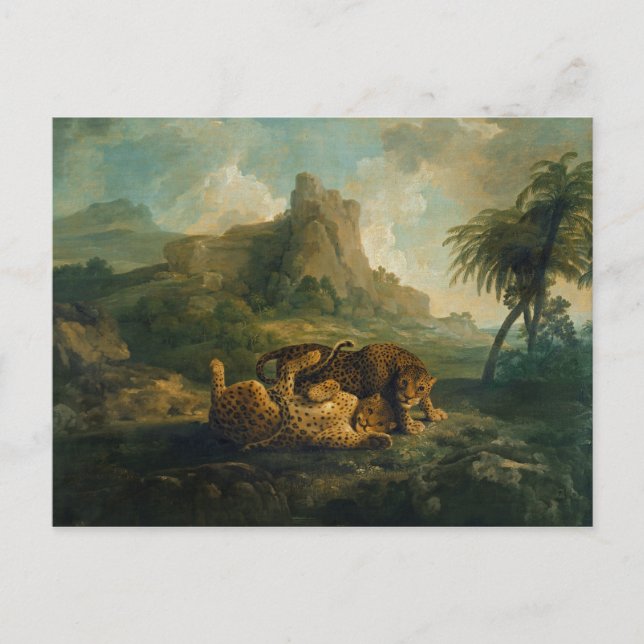 Cartão Postal George Stubbs | Leopardos em Play, c.1763-8 (Frente)