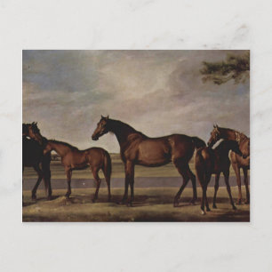 Cartão Postal George Stubbs-Mares, amigos antes de uma tempestad