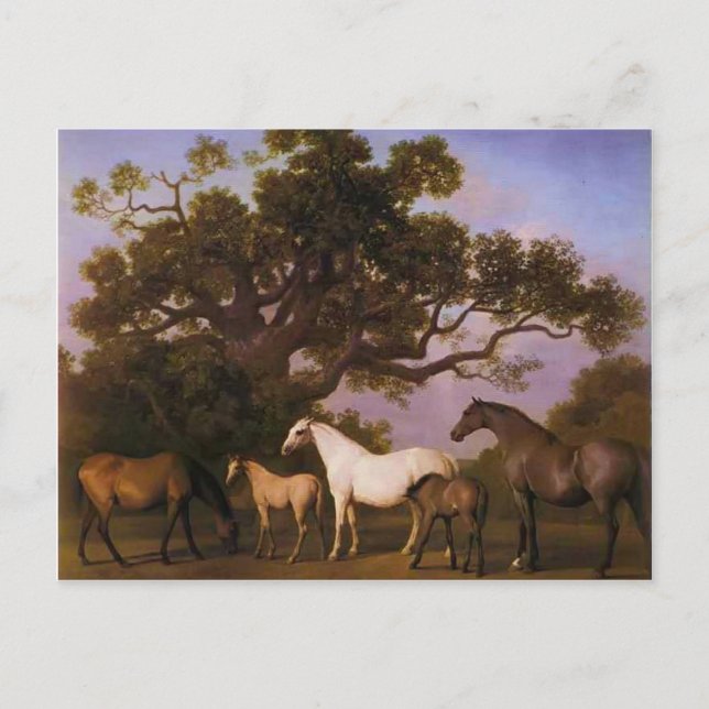 Cartão Postal George Stubbs- Mares e Foals sob uma árvore de car (Frente)