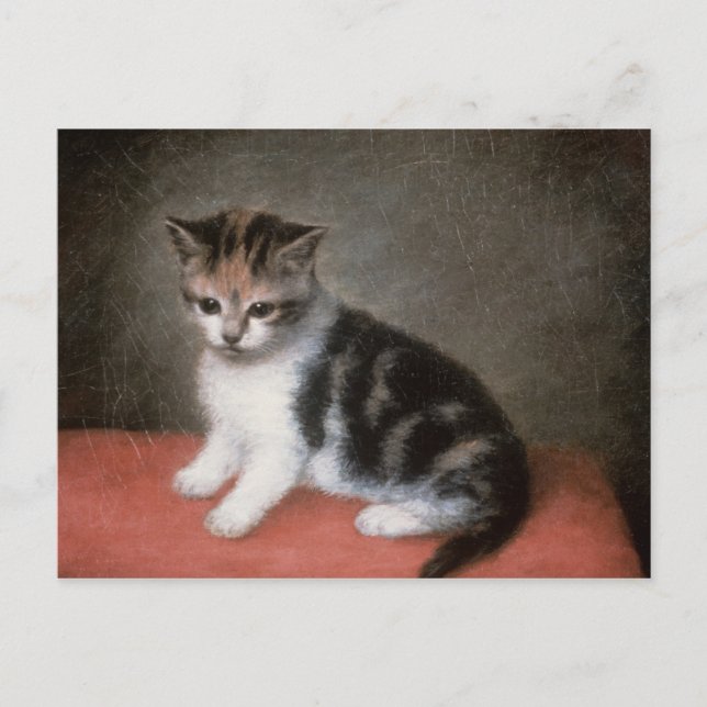 Cartão Postal George Stubbs | O Kitten de Ann White, 1790 (Frente)