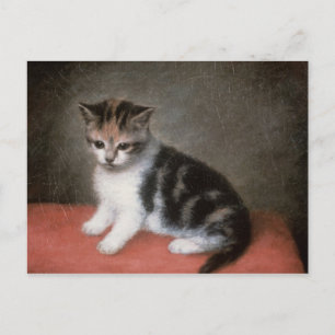 Cartão Postal George Stubbs   O Kitten de Ann White, 1790