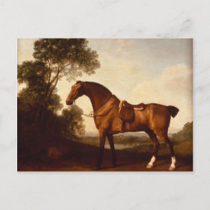 Cartão Postal George Stubbs - Um Caçador De Baía Saddled