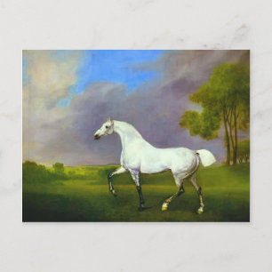 Cartão Postal George Stubbs - Um Cavalo de Cinza
