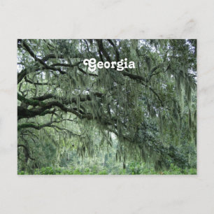 Cartão Postal Georgia Trees