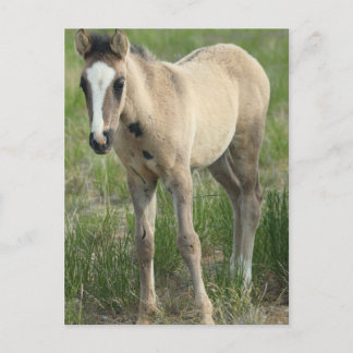 Cartão Postal Gerações