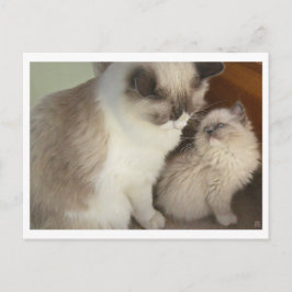 Cartão Postal Gerações