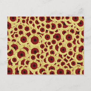 Cartão Postal Gerber Daisies