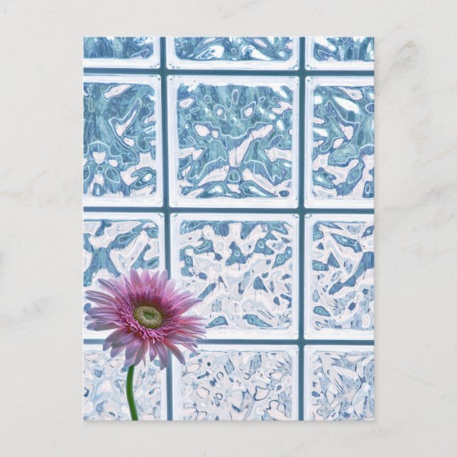 Cartão Postal Gerber Daisy (Frente)