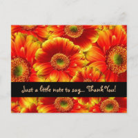 Gerbera Daisies brilhante Obrigado