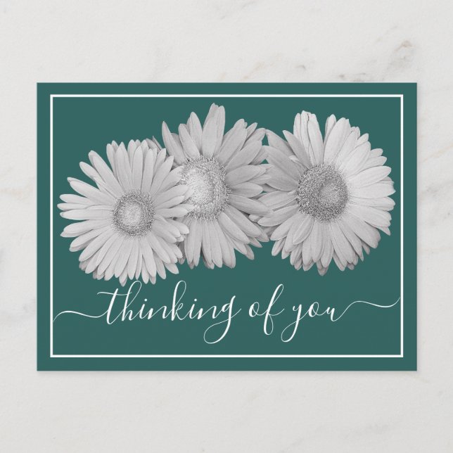 Cartão Postal Gerbera Daisies Fundo Ciano Pensando em Você  (Frente)