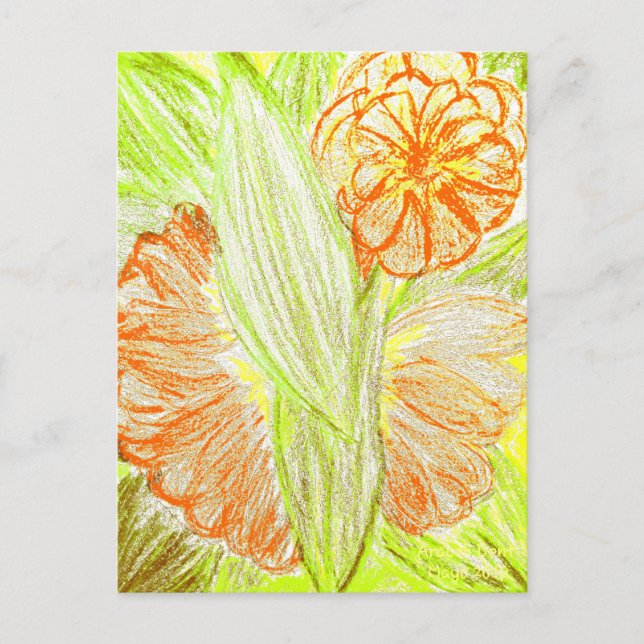 Cartão Postal Gerbera e Aspidistra elatior, (Frente)