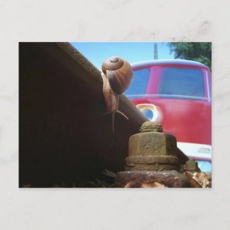 Cartão Postal gereta