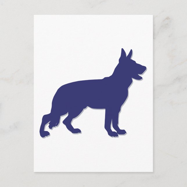 Cartão Postal German shepherd (Frente)