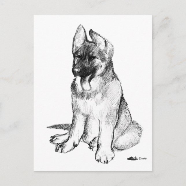 Cartão Postal German shepherd (Frente)
