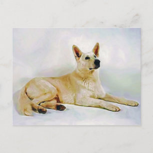 Cartão Postal German shepherd branco